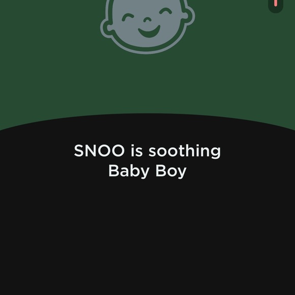 Snoo Bassinet - Picture 4 of 4